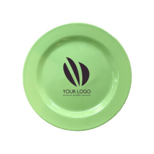 11inch Melamine Plate with Lip