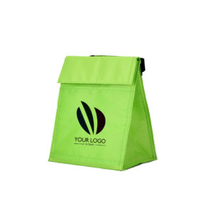 Eco Insulated Lunch Cooler Bag