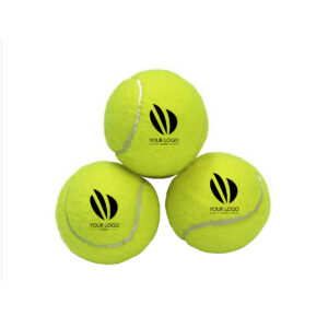 Pet Training Tennis